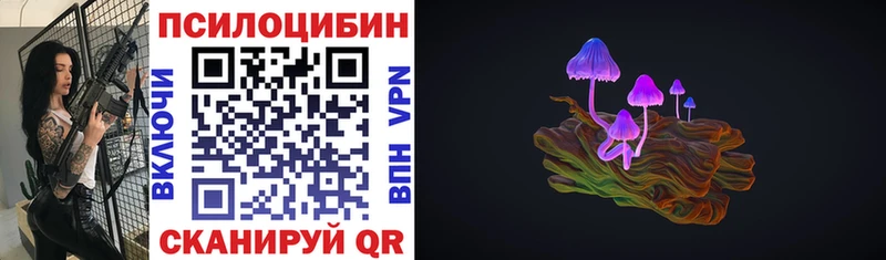 Псилоцибиновые грибы Cubensis  наркота  Судогда 